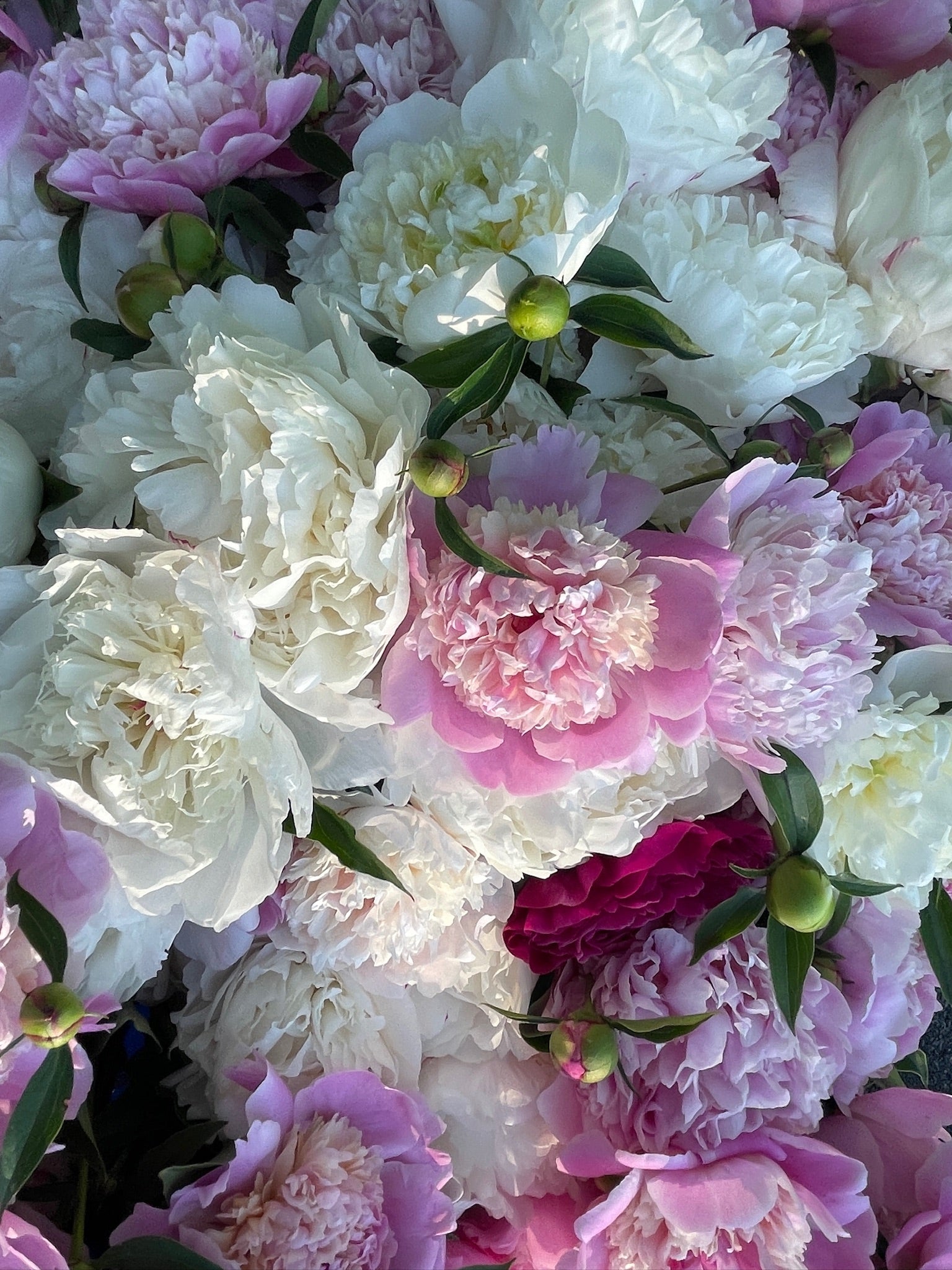 20 Stem Bouquet