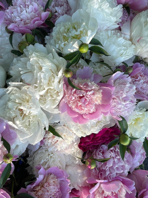 20 Stem Bouquet