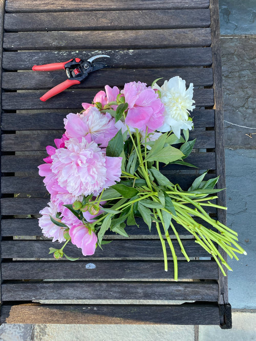 10 Stem Bouquet