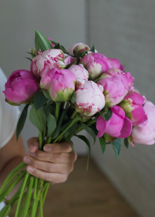 Hand holding a bouquet of pink and purple flowers against a neutral background